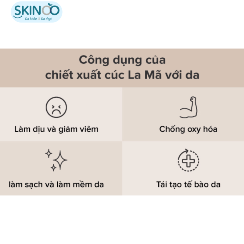 Lợi ích của cúc La Mã với làn da 