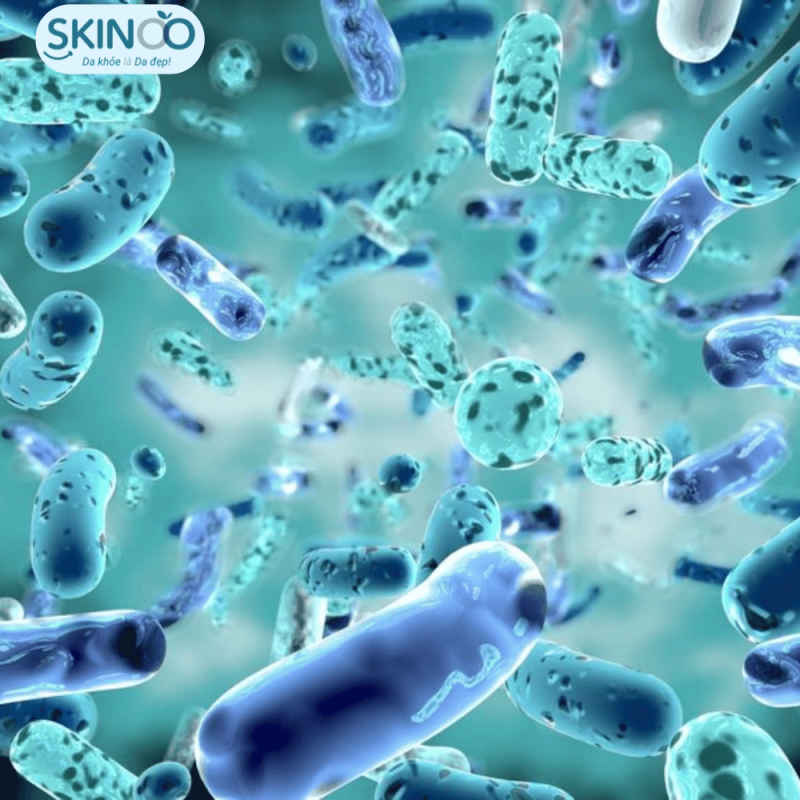 Prebiotics FOS
