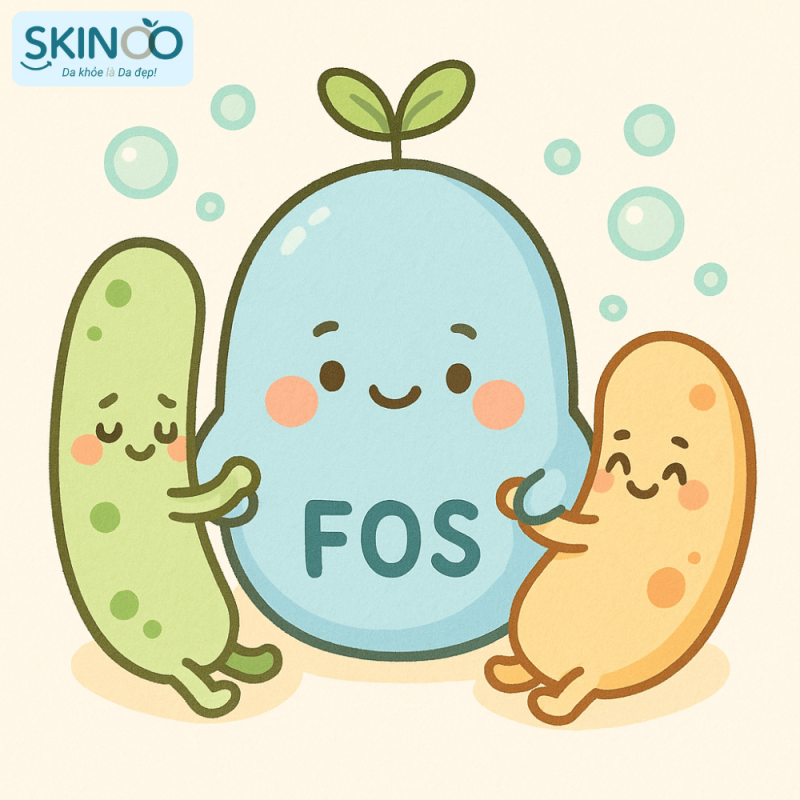 Chất xơ FOS là gì FOS có tác dụng gì (3)