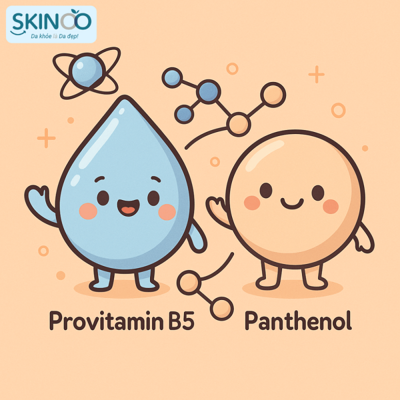 Dexpanthenol và Panthenol khác nhau như thế nào