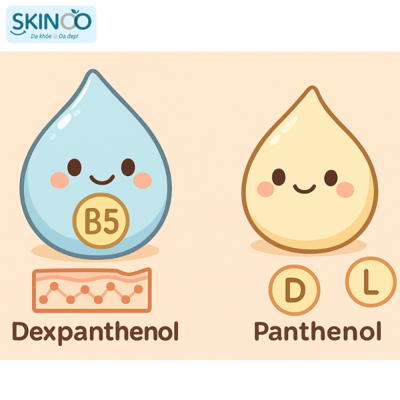 Dexpanthenol và Panthenol khác nhau như thế nào (2)
