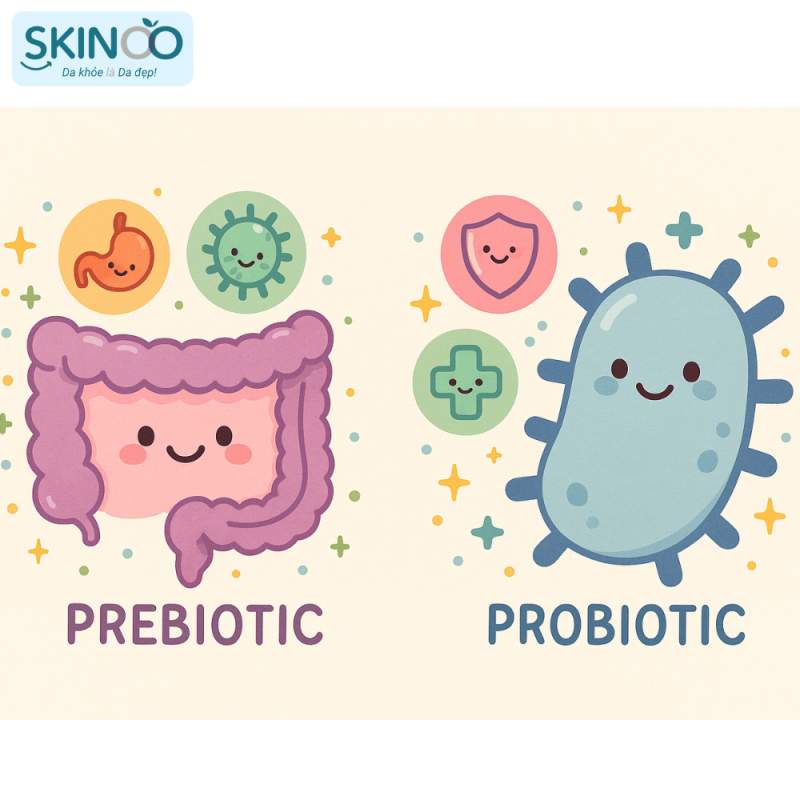 Probiotic và prebiotic là gì (3)