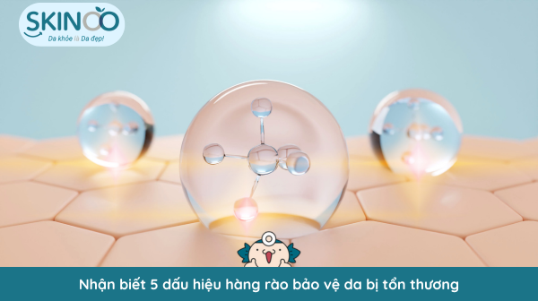 dấu hiệu hàng rào bảo vệ da bị tổn thương