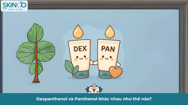 Dexpanthenol và Panthenol khác nhau như thế nào